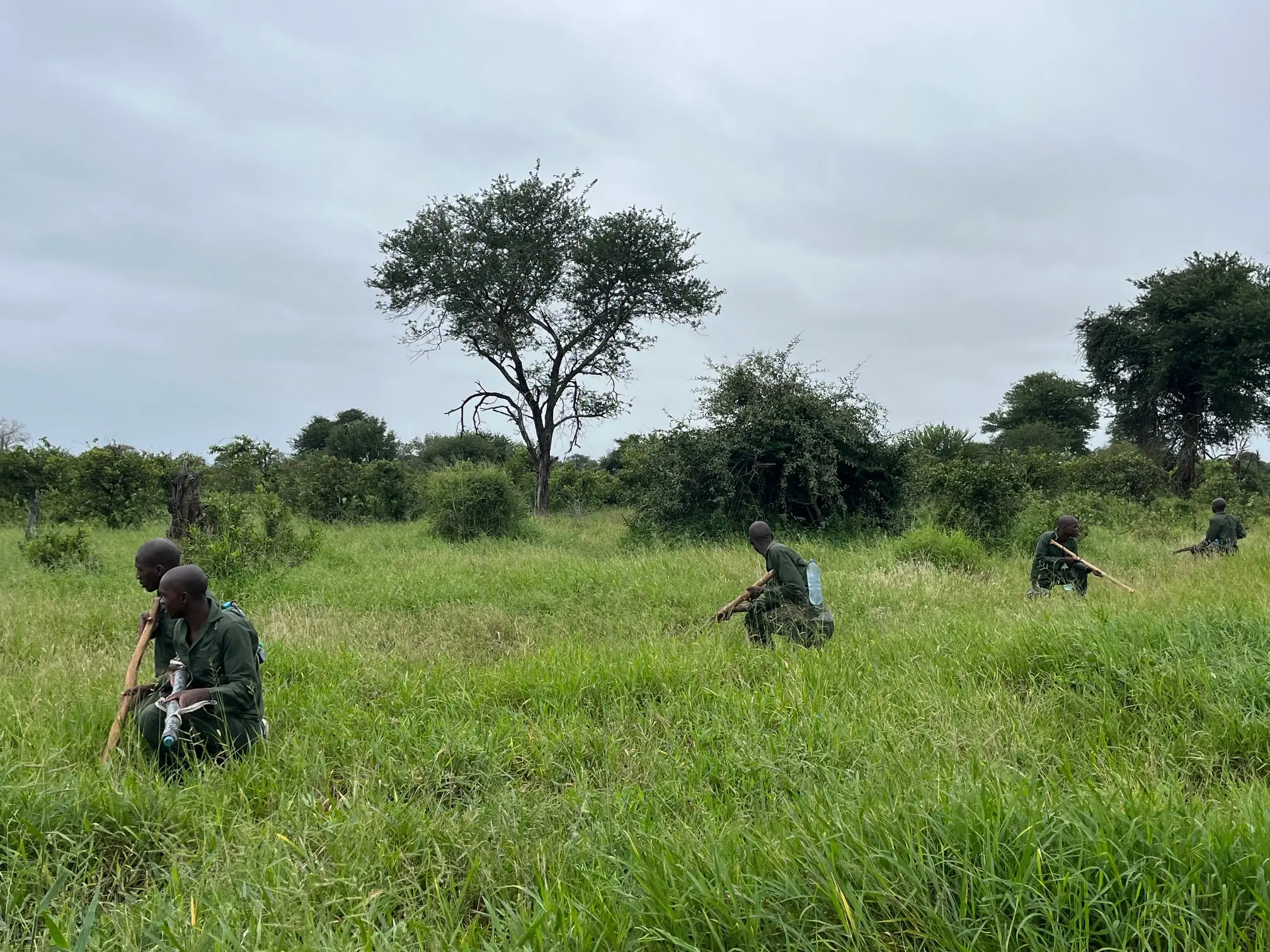 Rangers moving through the bush in Mozambique